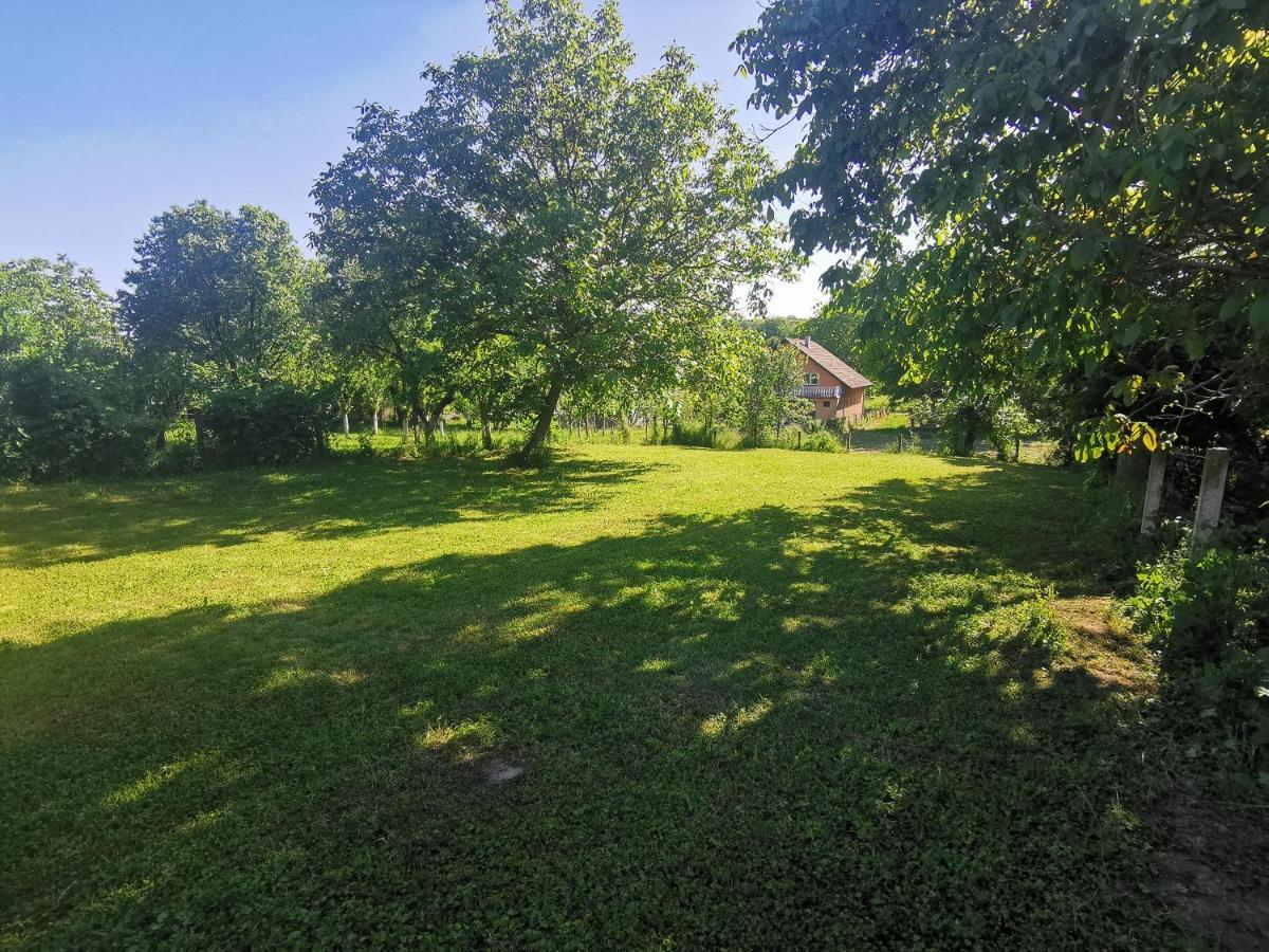 Apartmani La Grande Motte Vrdnik Exterior foto