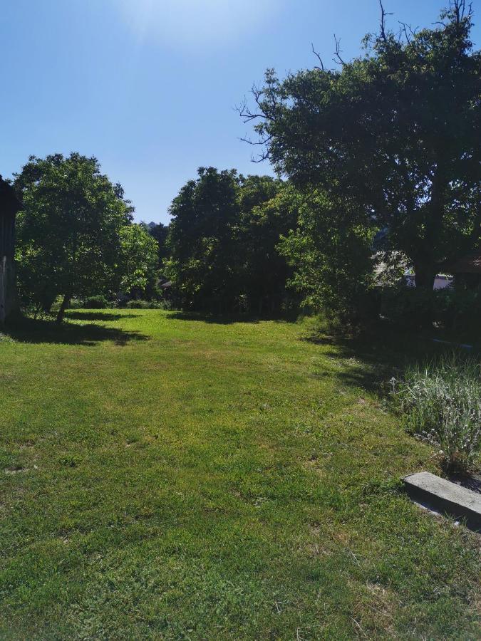 Apartmani La Grande Motte Vrdnik Exterior foto