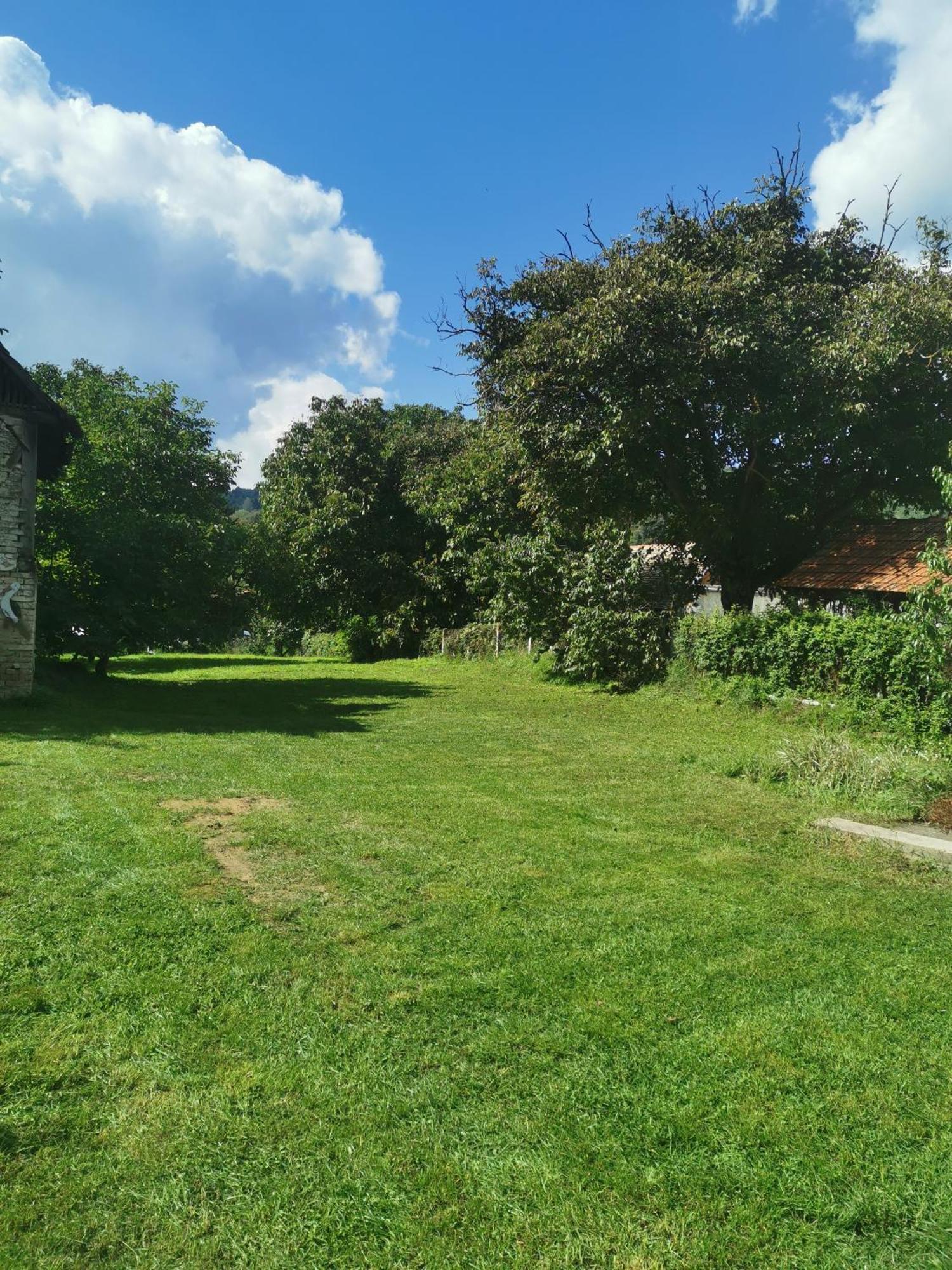 Apartmani La Grande Motte Vrdnik Exterior foto