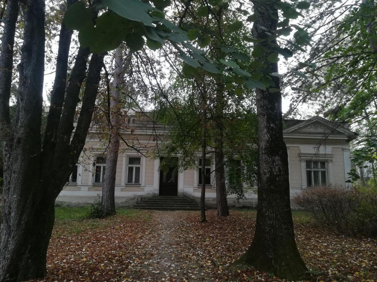 Apartmani La Grande Motte Vrdnik Exterior foto